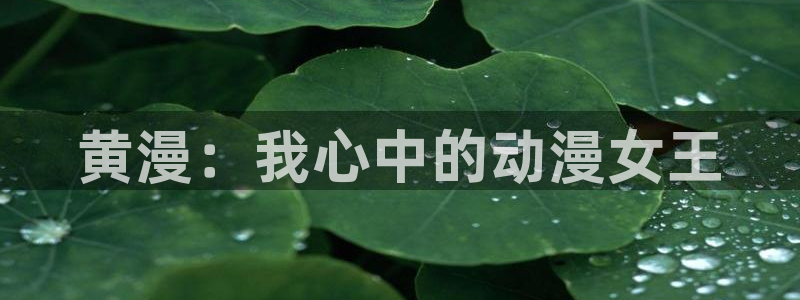 78动漫网站维护：黄漫：我心中的动漫女王