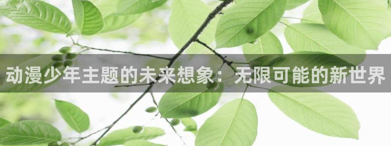 78动漫周边：动漫少年主题的未来想象：无限可能的新世界