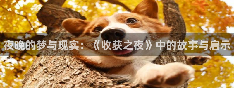 78动漫91：夜晚的梦与现实：《收获之夜》中的故事与启示