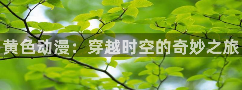 178动漫网站：黄色动漫：穿越时空的奇妙之旅