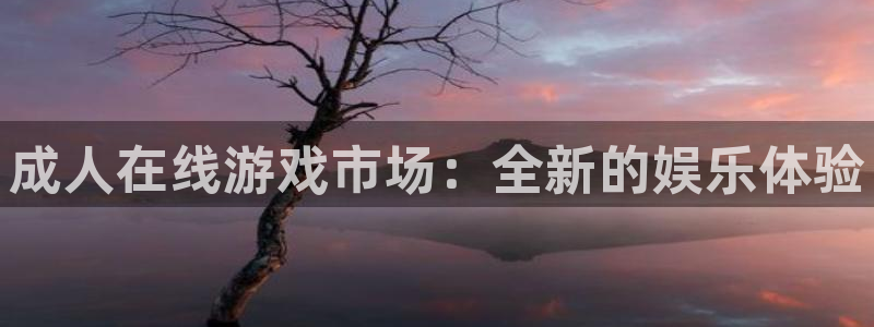 78动漫怎么打不开了：成人在线游戏市场：全新的娱乐体验