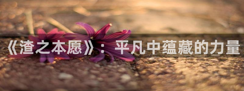 78动漫资料库打不开：《渣之本愿》：平凡中蕴藏的力量