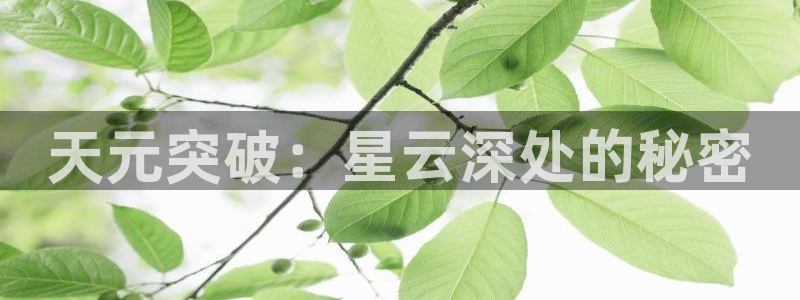 78动漫下载：天元突破：星云深处的秘密