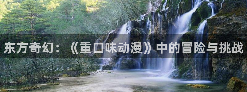 变形金刚78动漫网