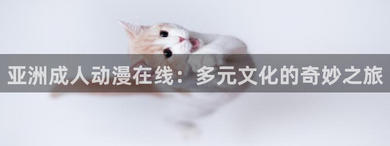 78动漫网线崩了