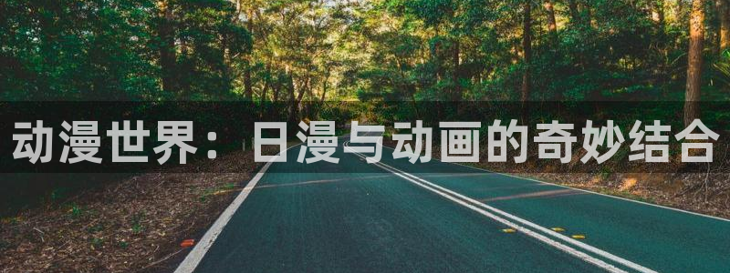 78动漫资料