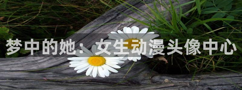 178动漫之家官网：梦中的她：女生动漫头像中心