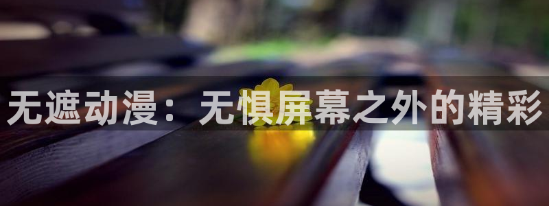 78动漫老版本