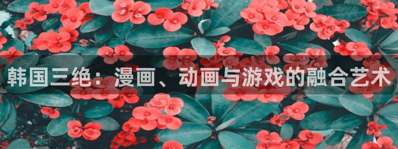 78动漫91：韩国三绝：漫画、动画与游戏的融合艺术